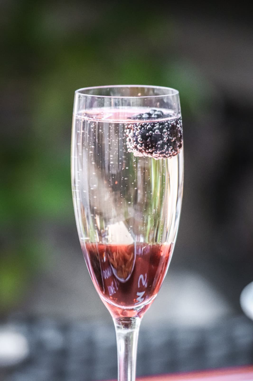 A flute of sparkling wine over a dark berry base with a blackberry garnish, against soft green foliage
