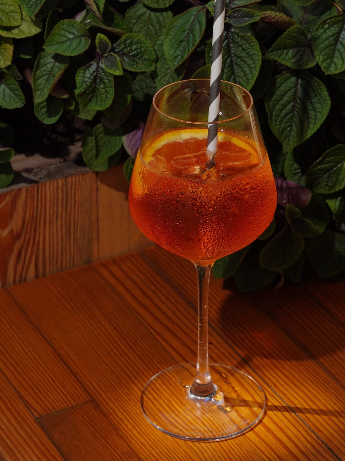 An orange spritz on ice in a wine glass with an orange slice and a striped straw, on a warm wooden table beside green leaves