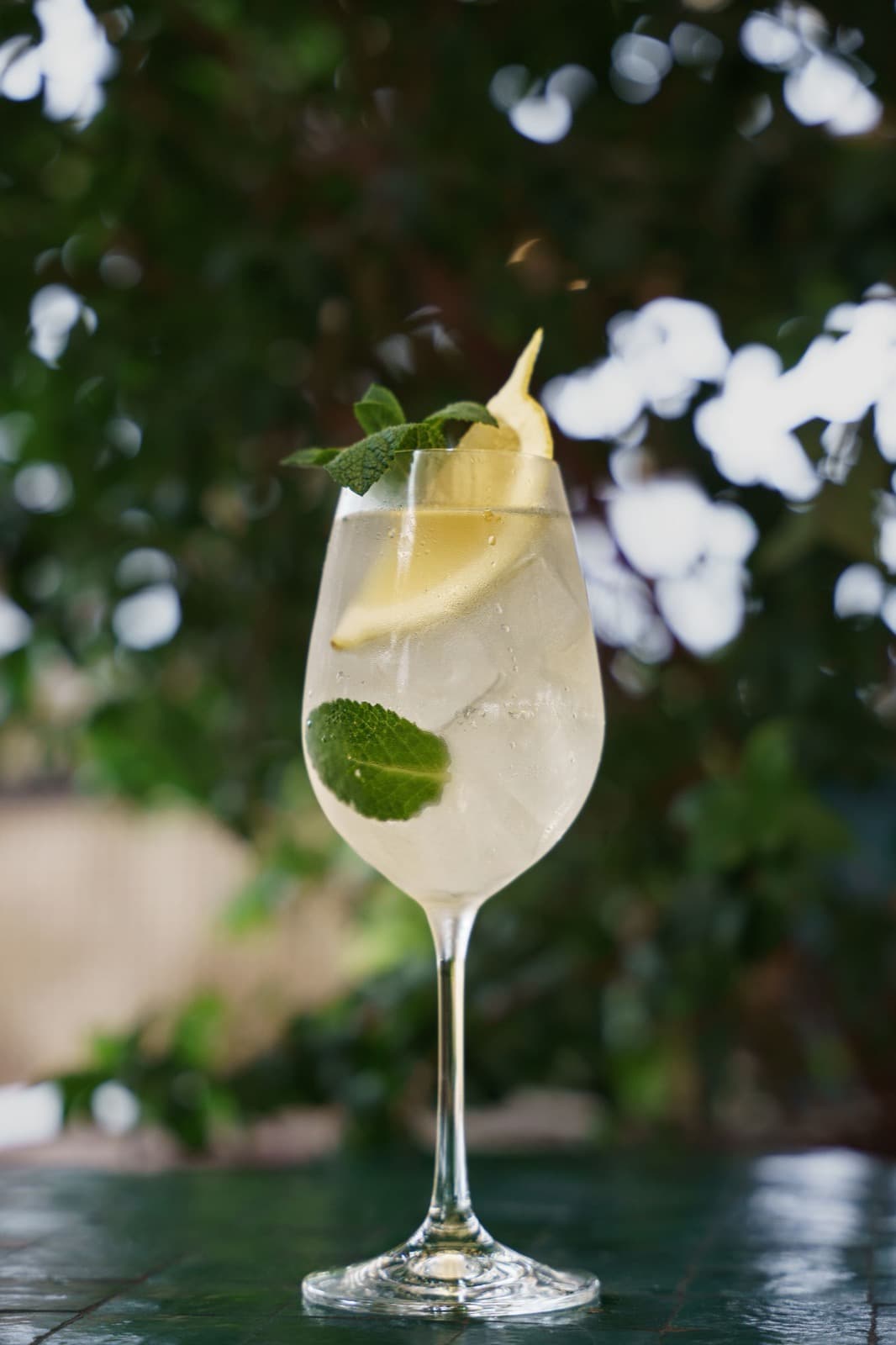 A pale sparkling spritz in a wine glass with mint leaves and a citrus slice, in soft garden light