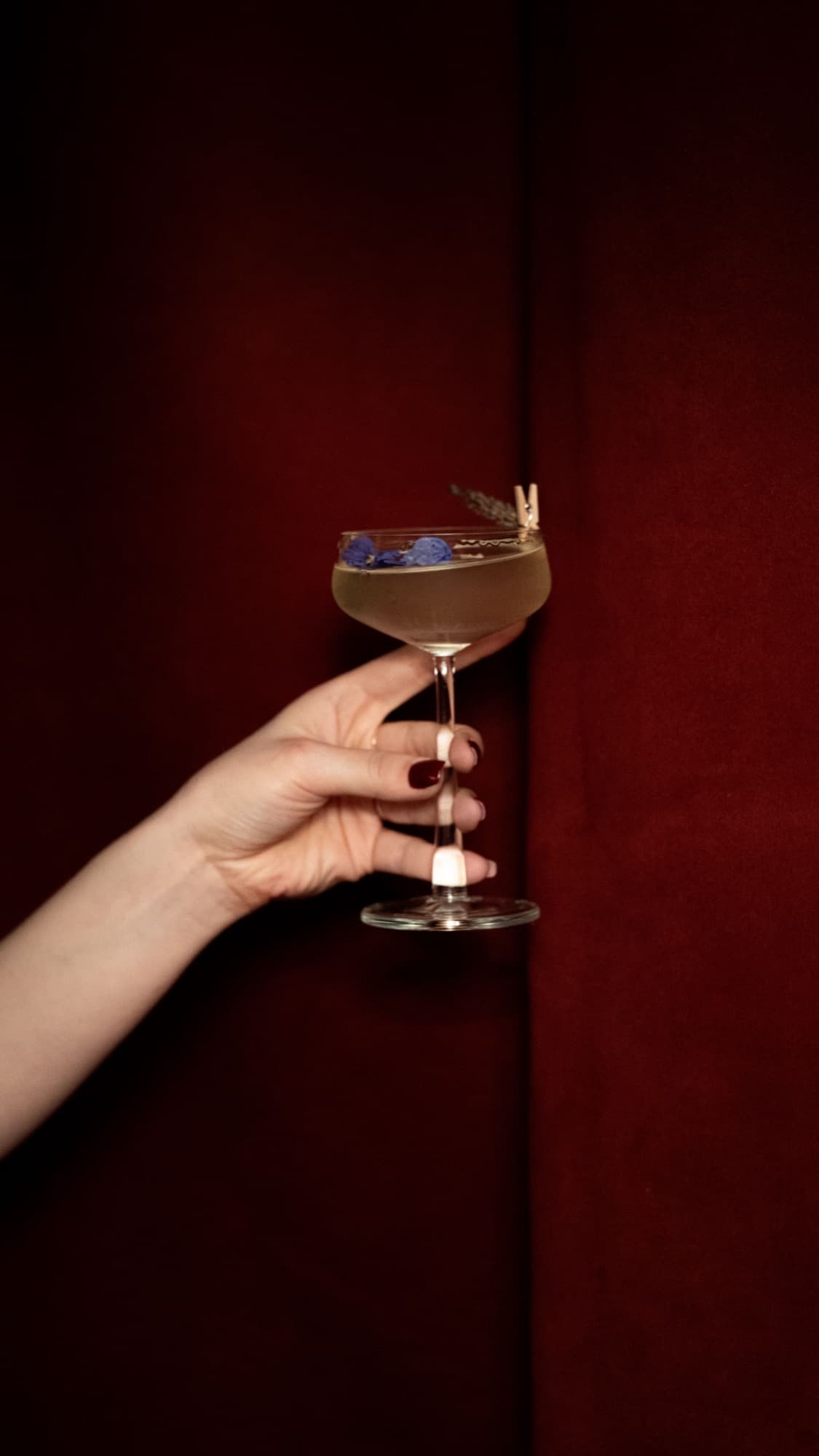 A hand holding a coupe garnished with blue petals against a deep red velvet curtain